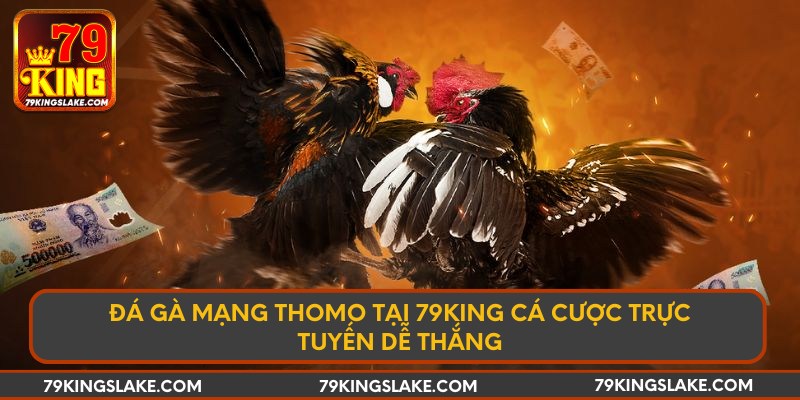 Đá gà mạng thomo tại 79king cá cược trực tuyến dễ thắng