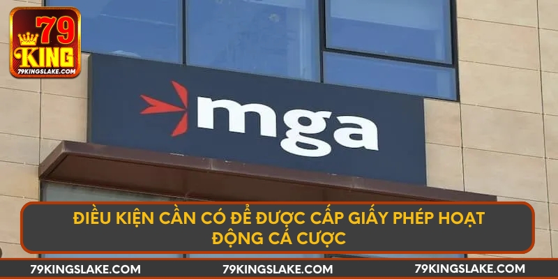 Điều kiện cần có để được cấp giấy phép hoạt động cá cược