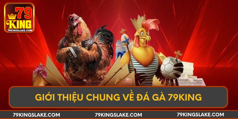 Giới thiệu chung về đá gà 79KING