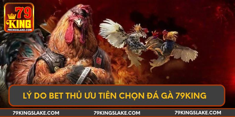 Lý do bet thủ ưu tiên chọn đá gà 79KING