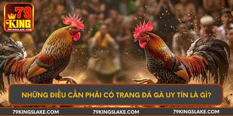 Những điều cần phải có trang đá gà uy tín là gì?