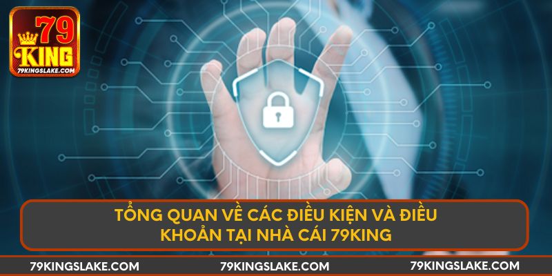 Tổng quan về các điều kiện và điều khoản tại nhà cái 79king