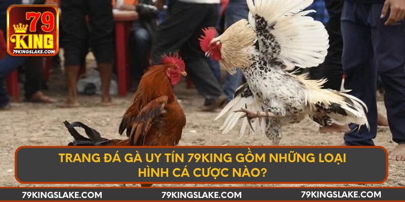 Trang đá gà uy tín 79king gồm những loại hình cá cược nào?