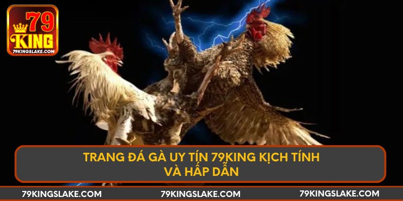 Trang đá gà uy tín 79king kịch tính và hấp dẫn