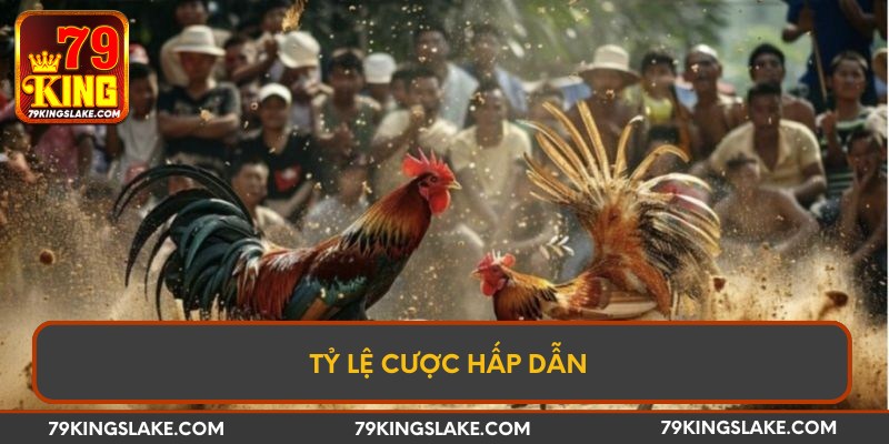 Tỷ lệ cược hấp dẫn