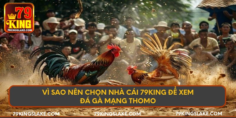Vì sao nên chọn nhà cái 79king để xem đá gà mạng thomo
